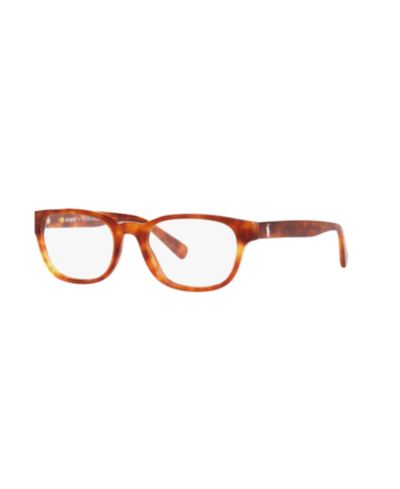 Очки Polo Ralph Lauren Man Panthos Plastic PH2244