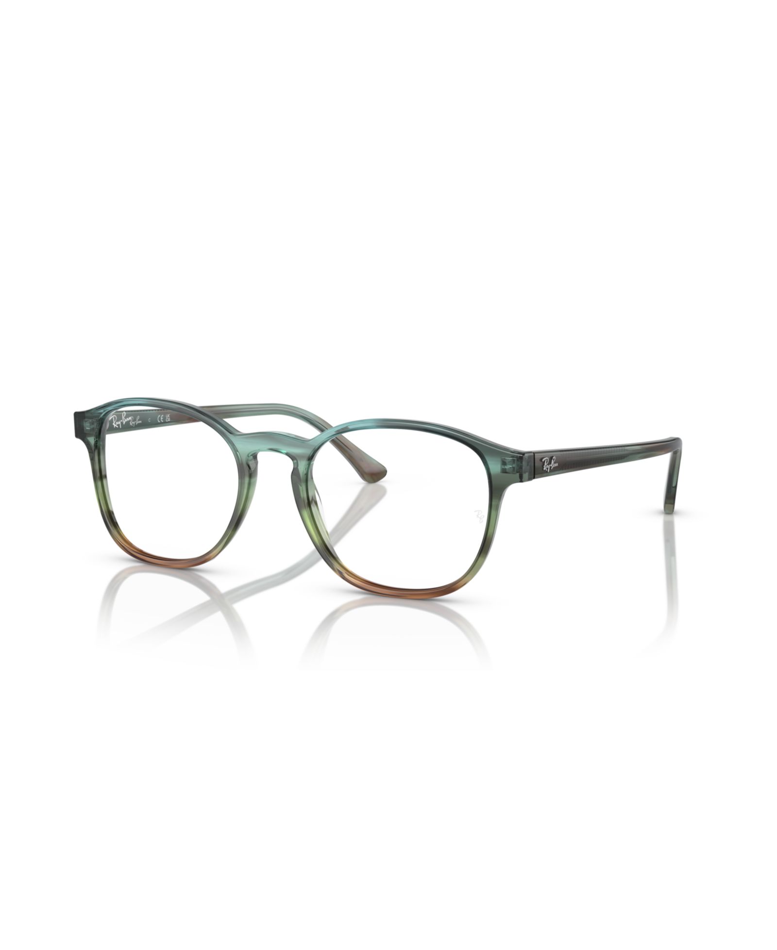 Ray-Ban очки Panthos Plastic RB5417