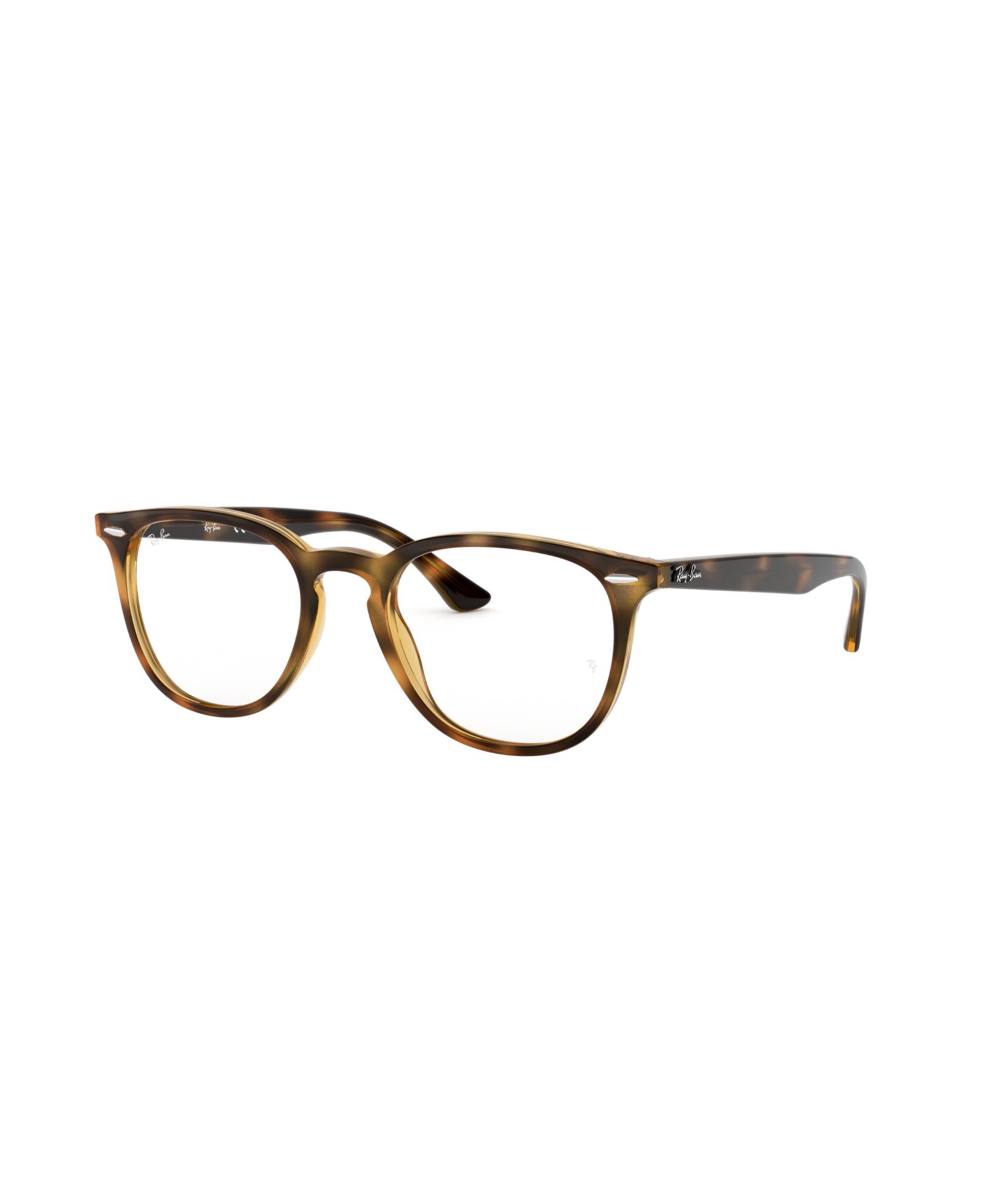 Очки Ray-Ban Unisex Panthos Plastic RB7159