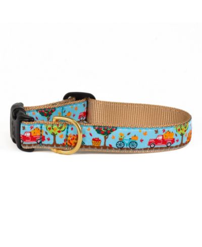 Up Country To the Orchard Dog Collar
