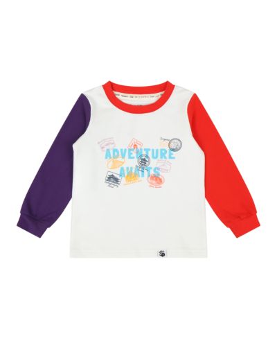 Детская футболка Mixed Up Clothing Kids Landmarks Tee - Adventure Awaits Colorblock с длинным рукавом