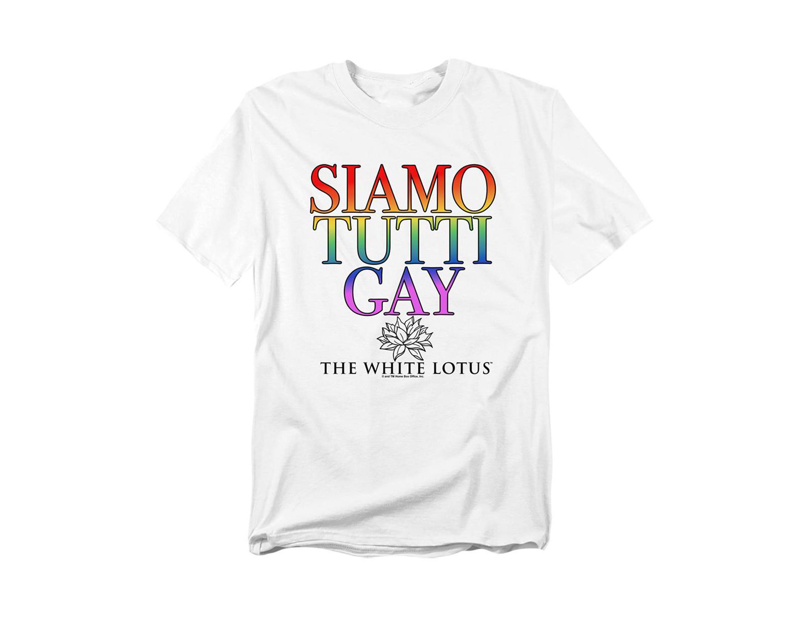 Мужская футболка Logovision The White Lotus Siamo Tutti Gay T-Shirt