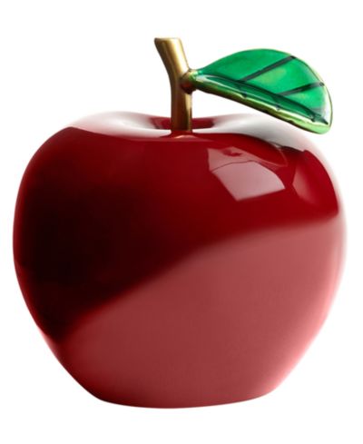 COACH Женский шарм для обуви Apple