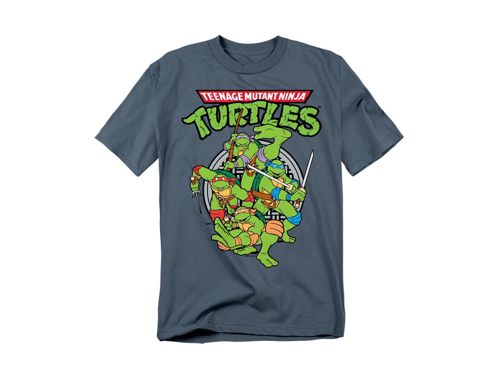 Мужская футболка Teenage Mutant Ninja Turtles TMNT Group