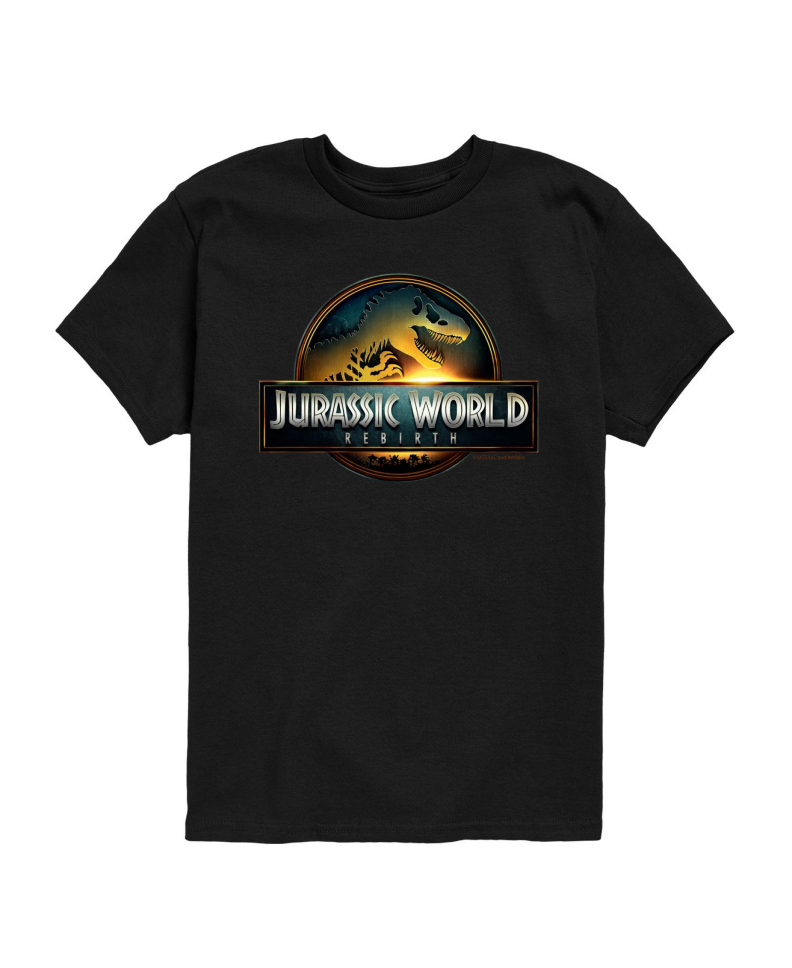 Детская футболка Jurassic Park Big Boys Live Action Jurassic World