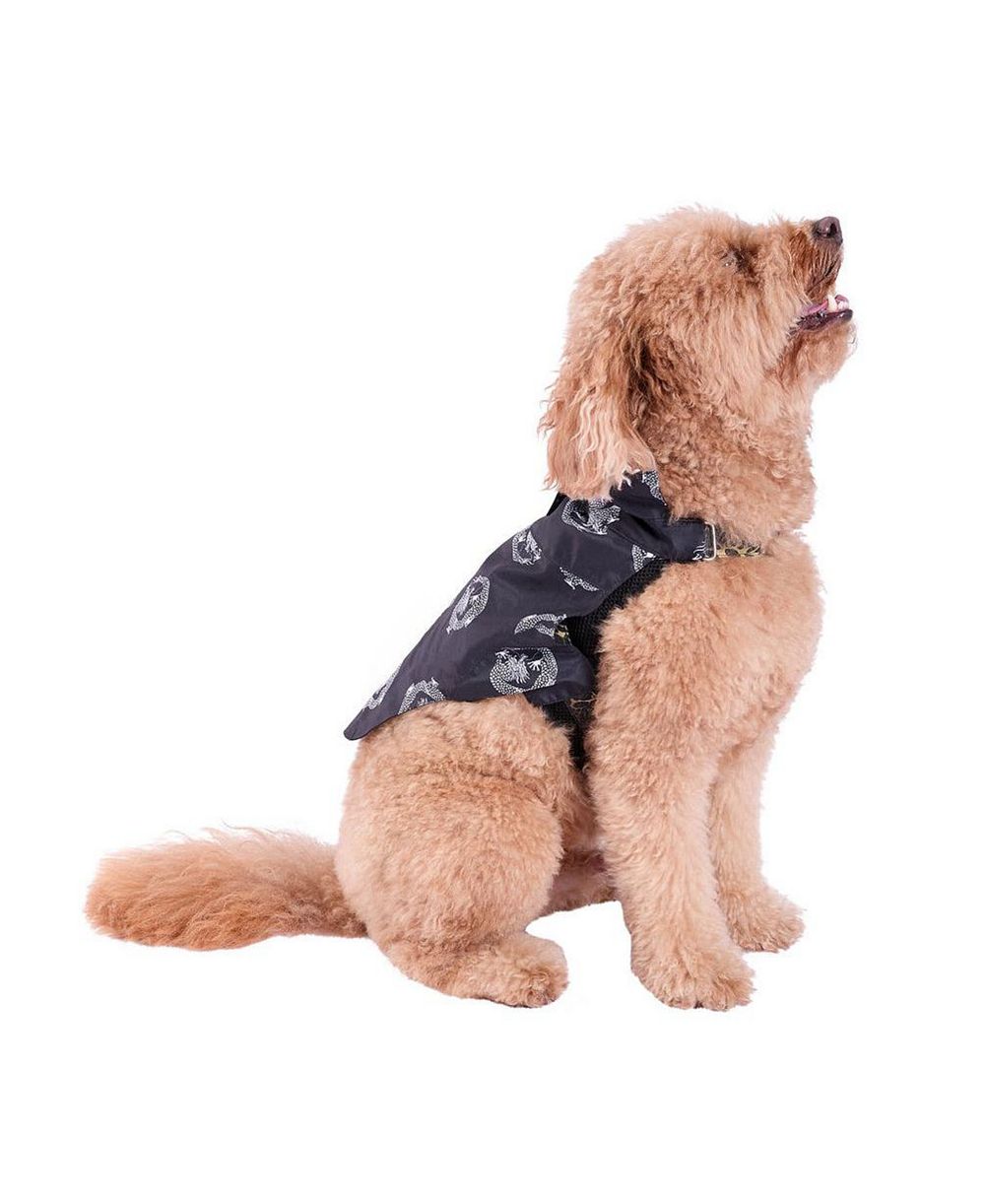 Natori Black Camp Shirt & Harness Set