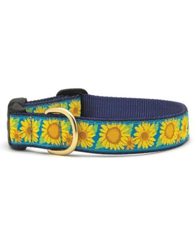 Ошейник для собак Up Country Bright Sunflower