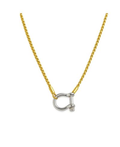 Gold chain silver carabiner