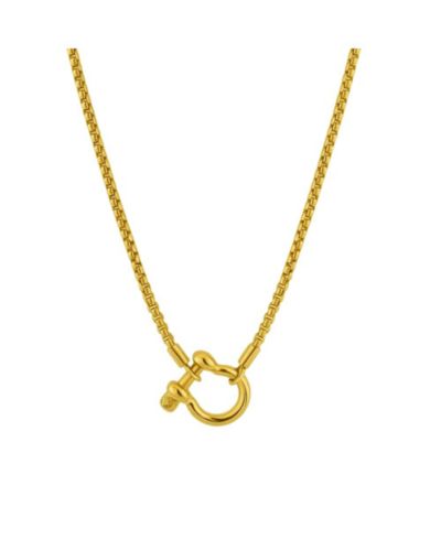Gold chain gold carabiner
