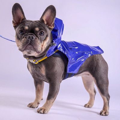 Tommy Bahama Pet Raincoat & Apparel Harness - Blue, XS