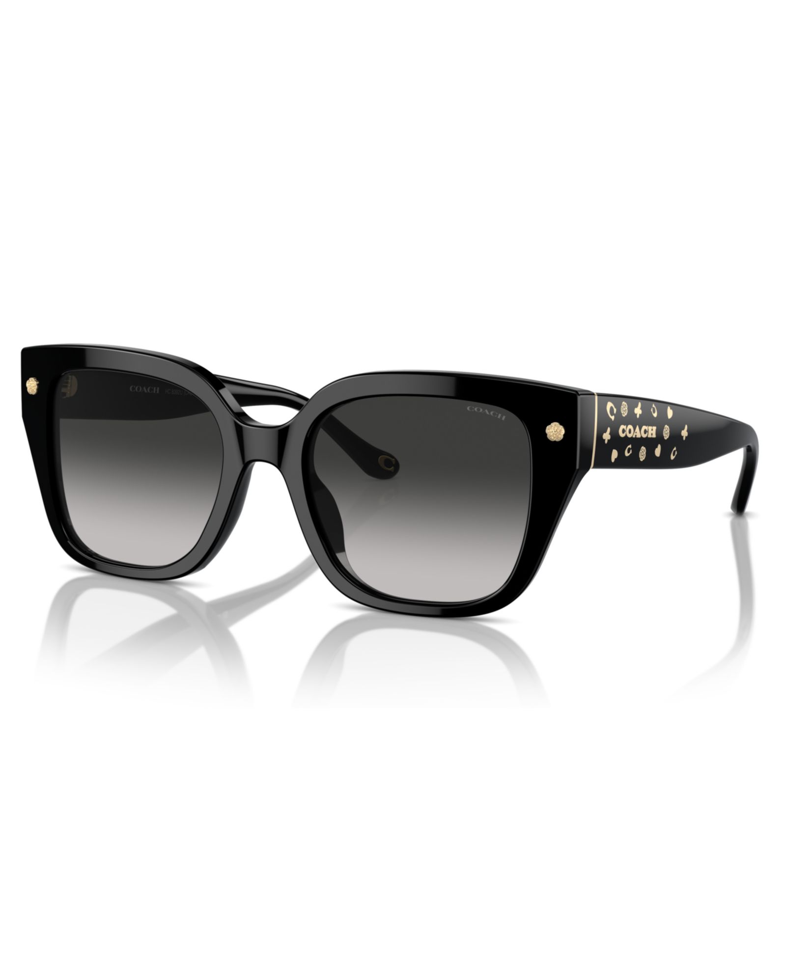 COACH Women's Sunglasses, Cr611 Hc8392U