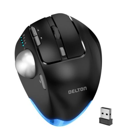 Беспроводная эргономичная компьютерная мышь Delton T100 с трекболом