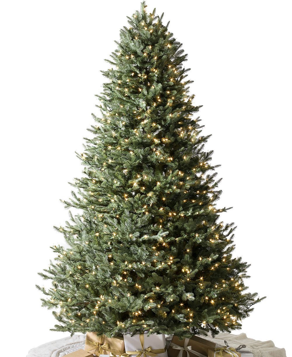 BH Balsam Fir|6.5|LEDC
