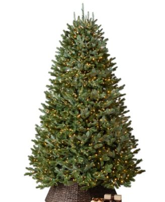 Balsam Hill 7.5' Pre-Lit Fraser Fir LEDC Artificial Christmas Tree