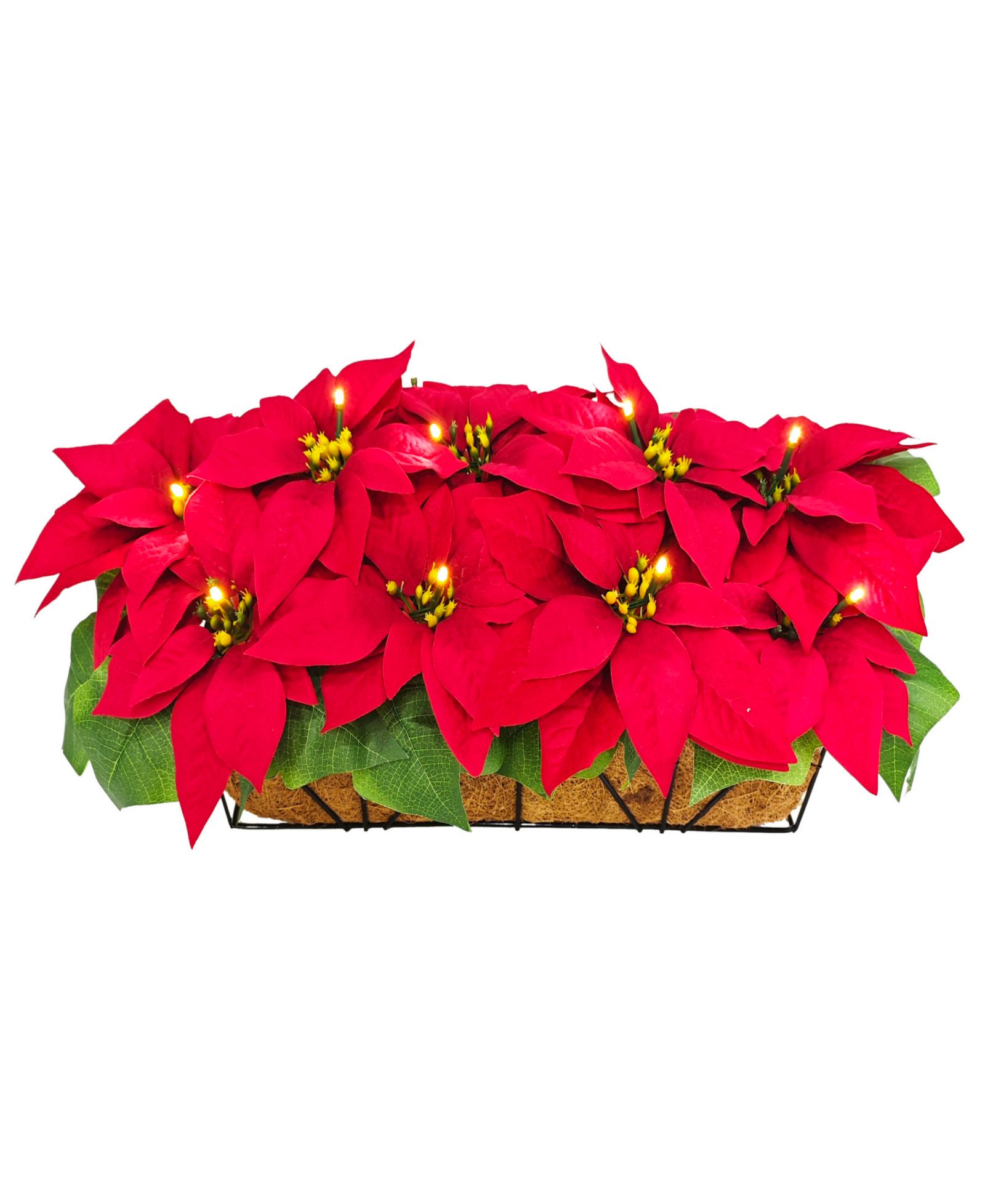 Декор для окна Puleo 24" Pre-Lit Artificial Red Poinsettia