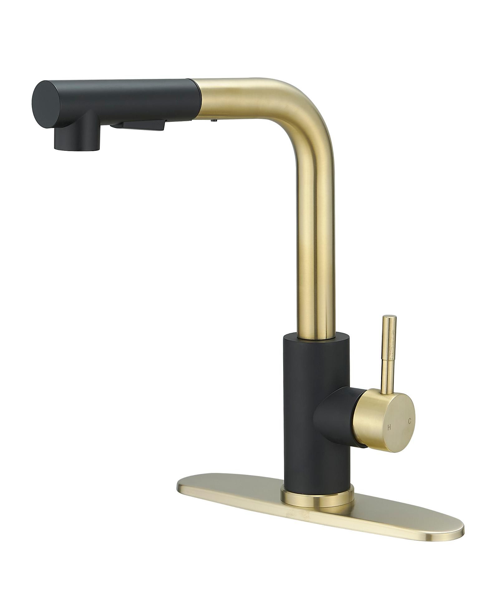 Greenspring 2 Sprayer Single Hole Single-Handle Pull Out Kitchen Faucet in Matte Black and Brushed Gold