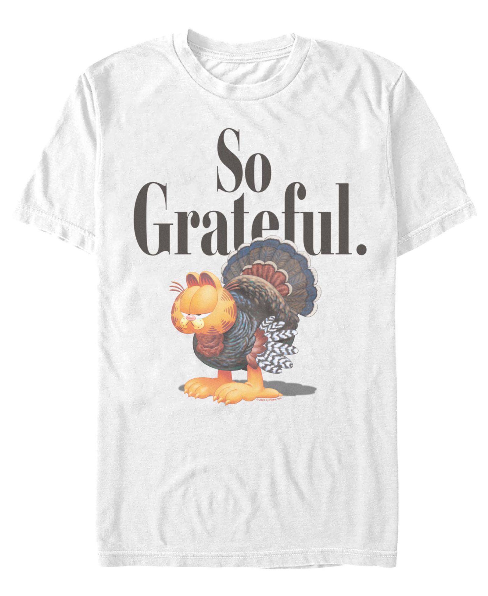 Fifth Sun Men's Garfield Short Sleeve T-Shirt
