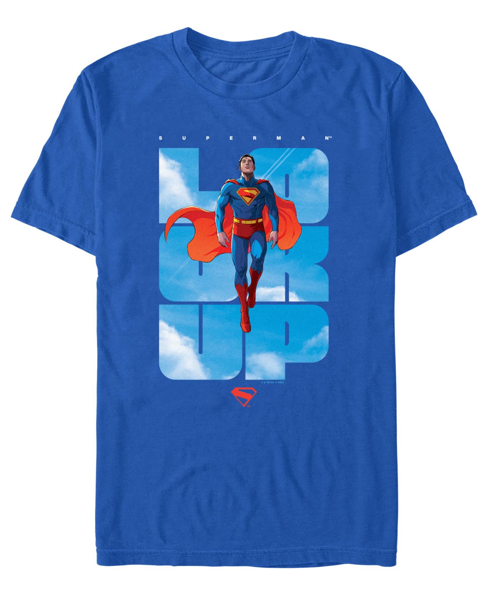 Мужская футболка Fifth Sun Superman 2025 Graphic Print