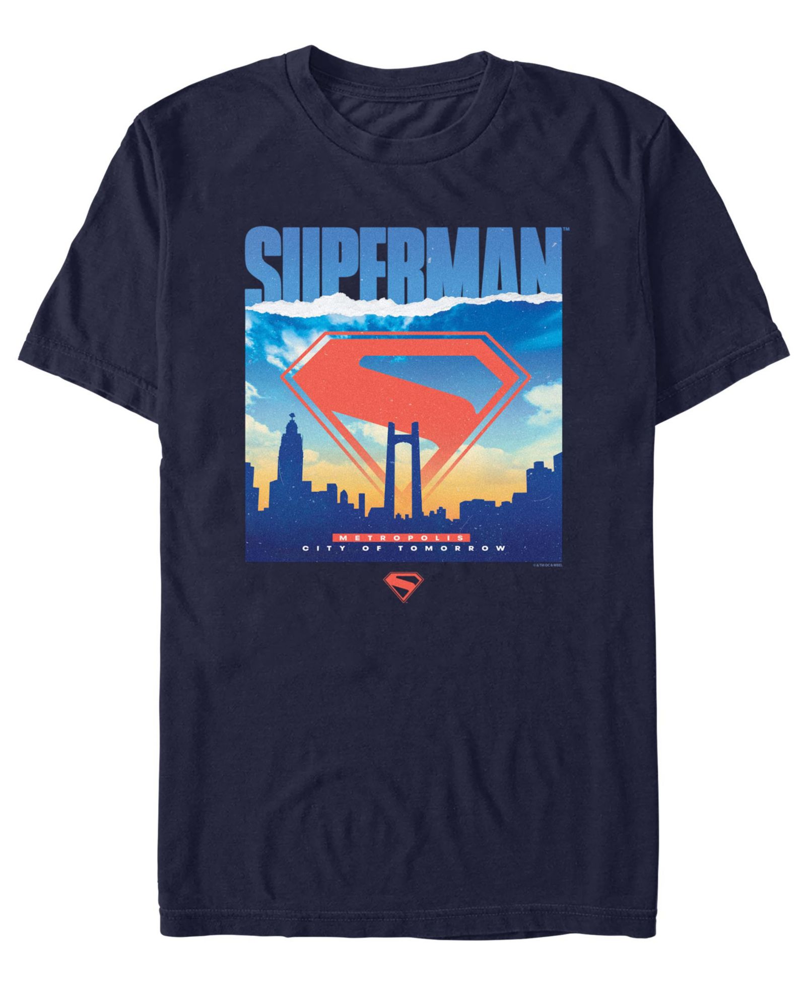 Fifth Sun Мужская футболка Superman 2025 с круглым вырезом