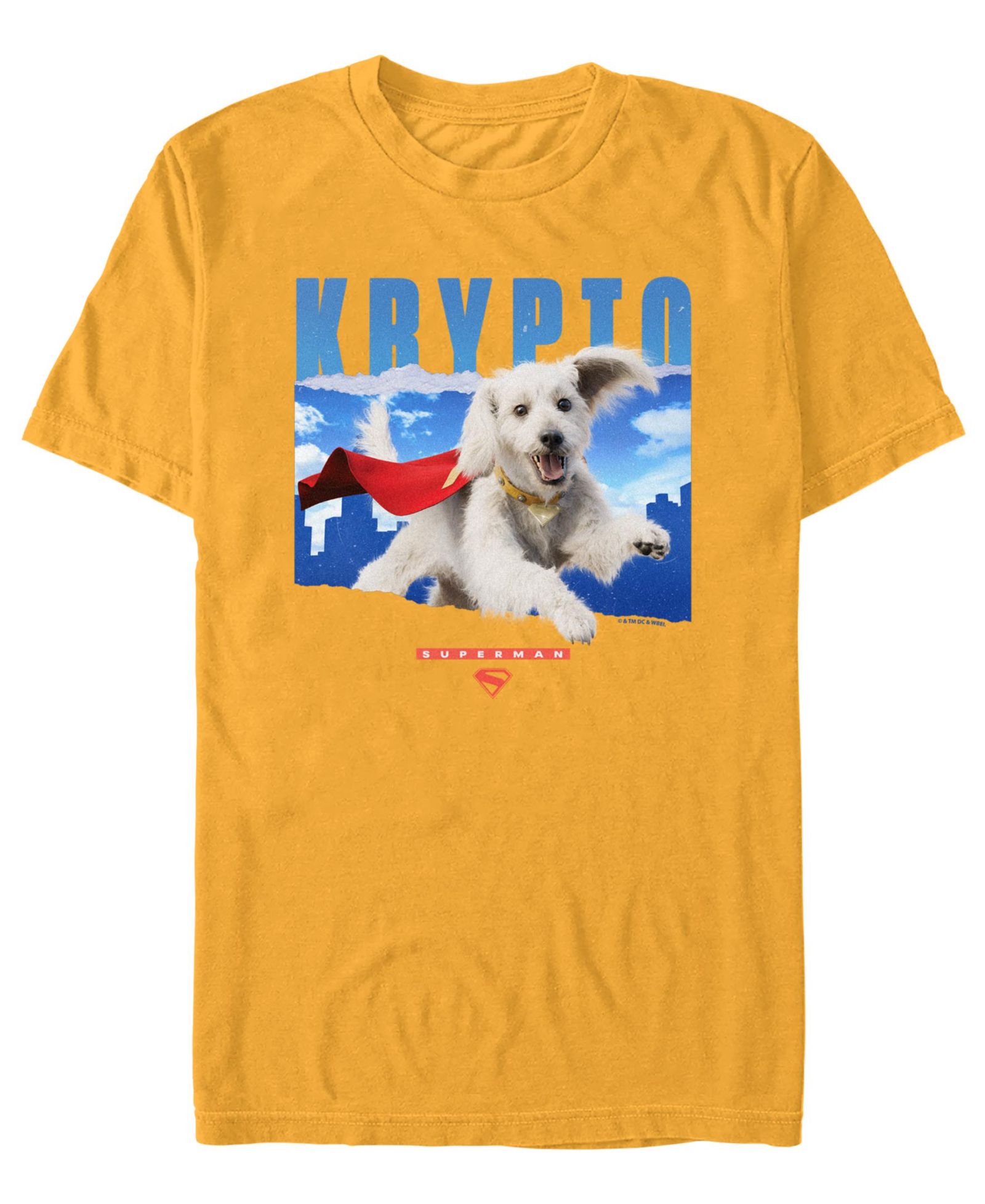 Мужская футболка Fifth Sun Superman 2025 Krypto Crewneck