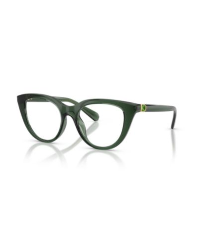 Очки Swarovski Woman Cat Eye Plastic SK2052