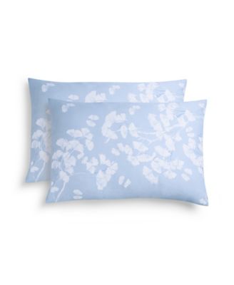 Sky Blue, White