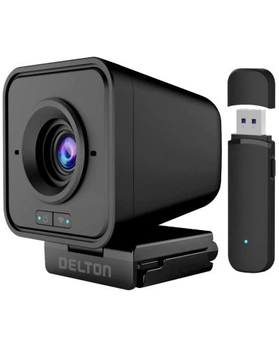 Беспроводная веб-камера Delton C50 1080p с микрофоном