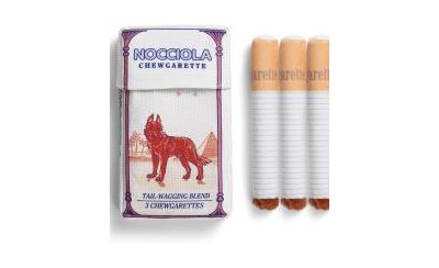 Nocciola 3 Pack Squeaky Camel Chewgarette Dog Toys with a Box, Interactive Plush Toys for Small Medium Dogs Pitbull Frenchie