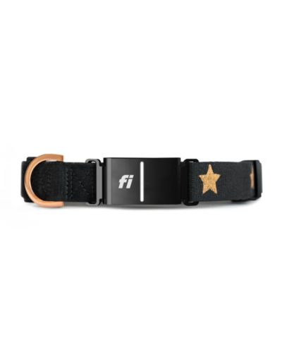 The DOGISTRY x Fi Rockstar Collar