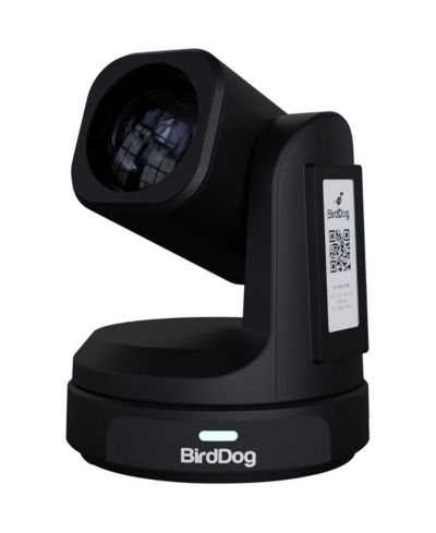 BirdDog Max 12X PTZ камера (черная)