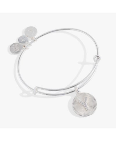 Silver (Alphabet Y)