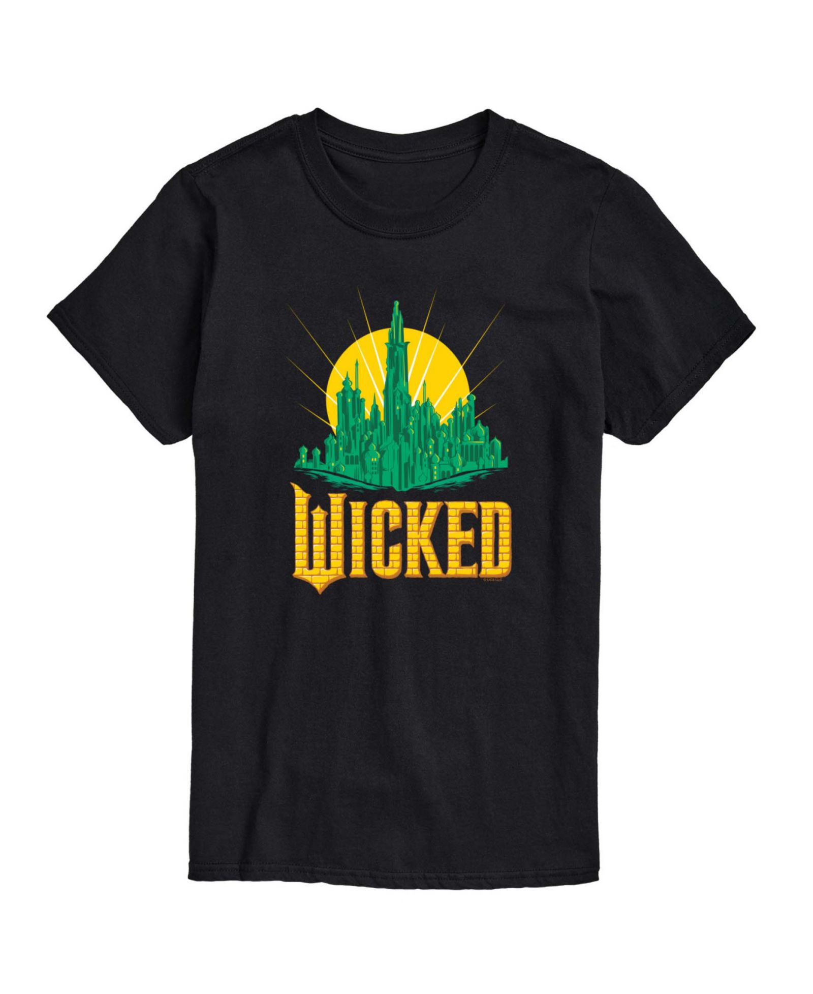 Мужская футболка AIRWAVES Wicked Part 2 Emerald City с принтом и коротким рукавом
