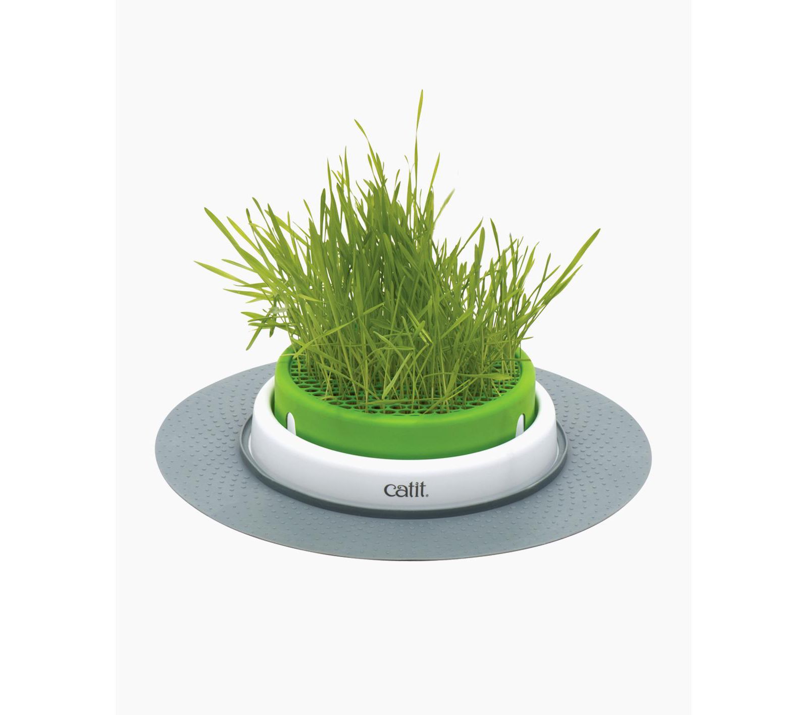 Catit Senses 2.0 Grass Planter, Retail
