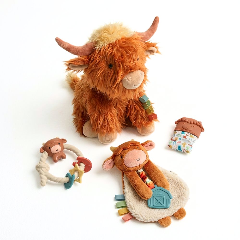 Набор для кормления Itzy Ritzy Baby Rodeo
