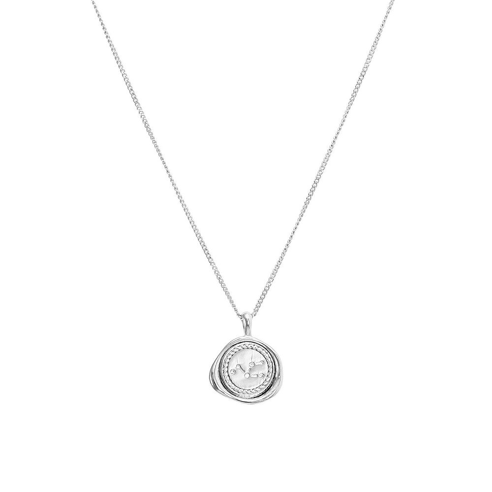 Bearfruit Jewelry ожерелье с созвездием, 12 знаков зодиака, персонализированный подарок для нее
