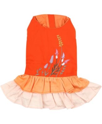 Parisian Pet Платье для животных, цветочный принт Color Block Garden