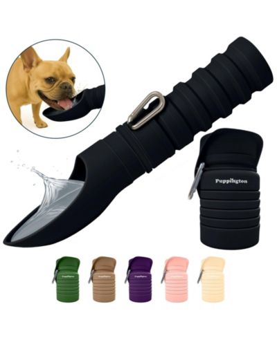 Puppington Collapsible Dog Water Bottle