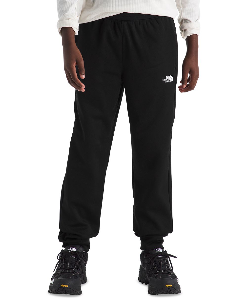 Детские спортивные джоггеры The North Face