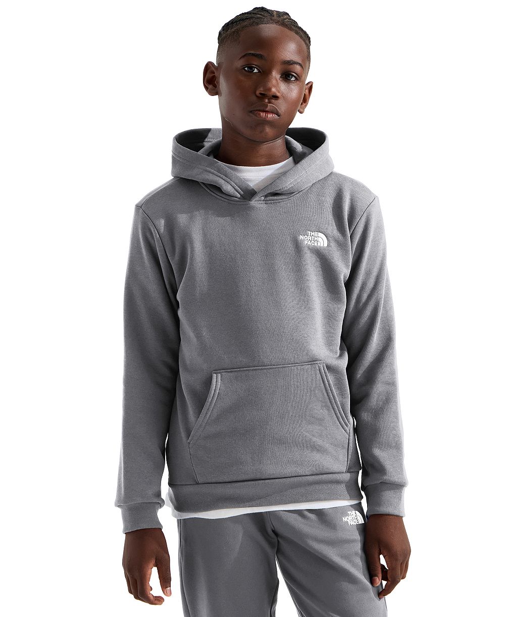 Худи The North Face Evolution Simple Dome Long-Sleeve для мальчиков и девочек