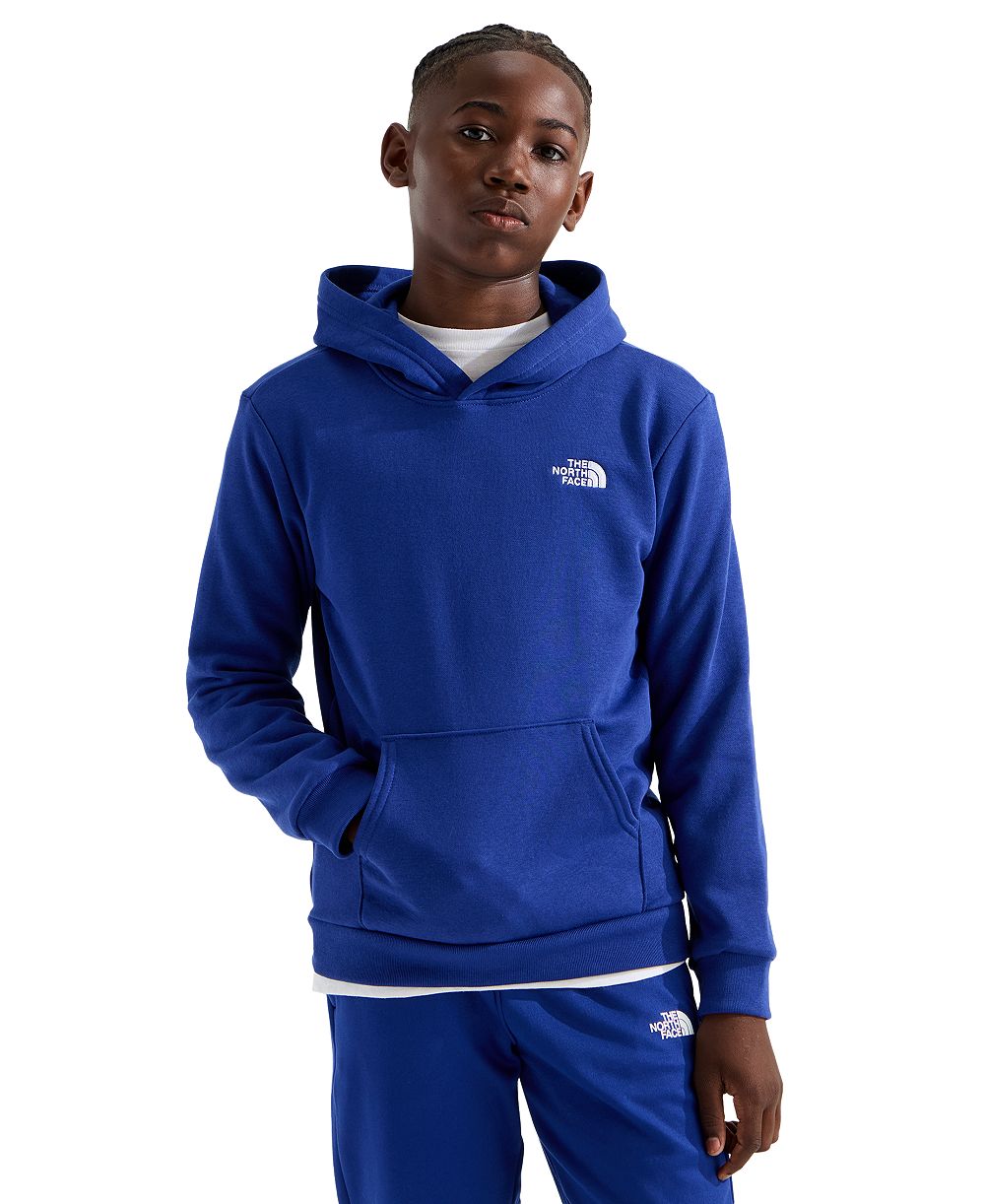 Худи-пуловер The North Face Evolution Simple Dome для мальчиков и девочек 7-20