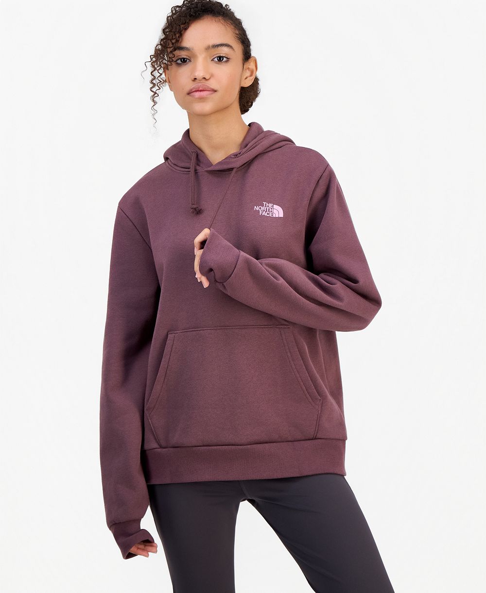 The North Face женский худи с графическим принтом Explore Pin