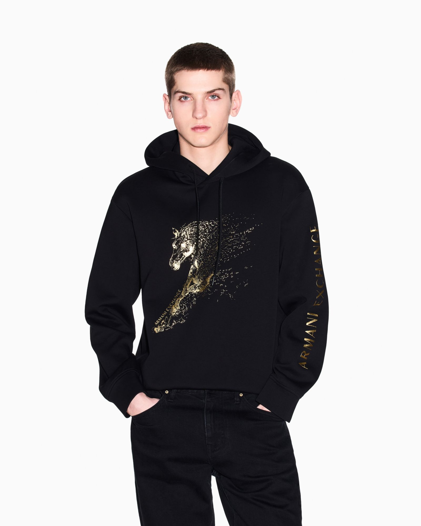 Мужское худи A|X Armani Exchange Lunar New Year Graphic