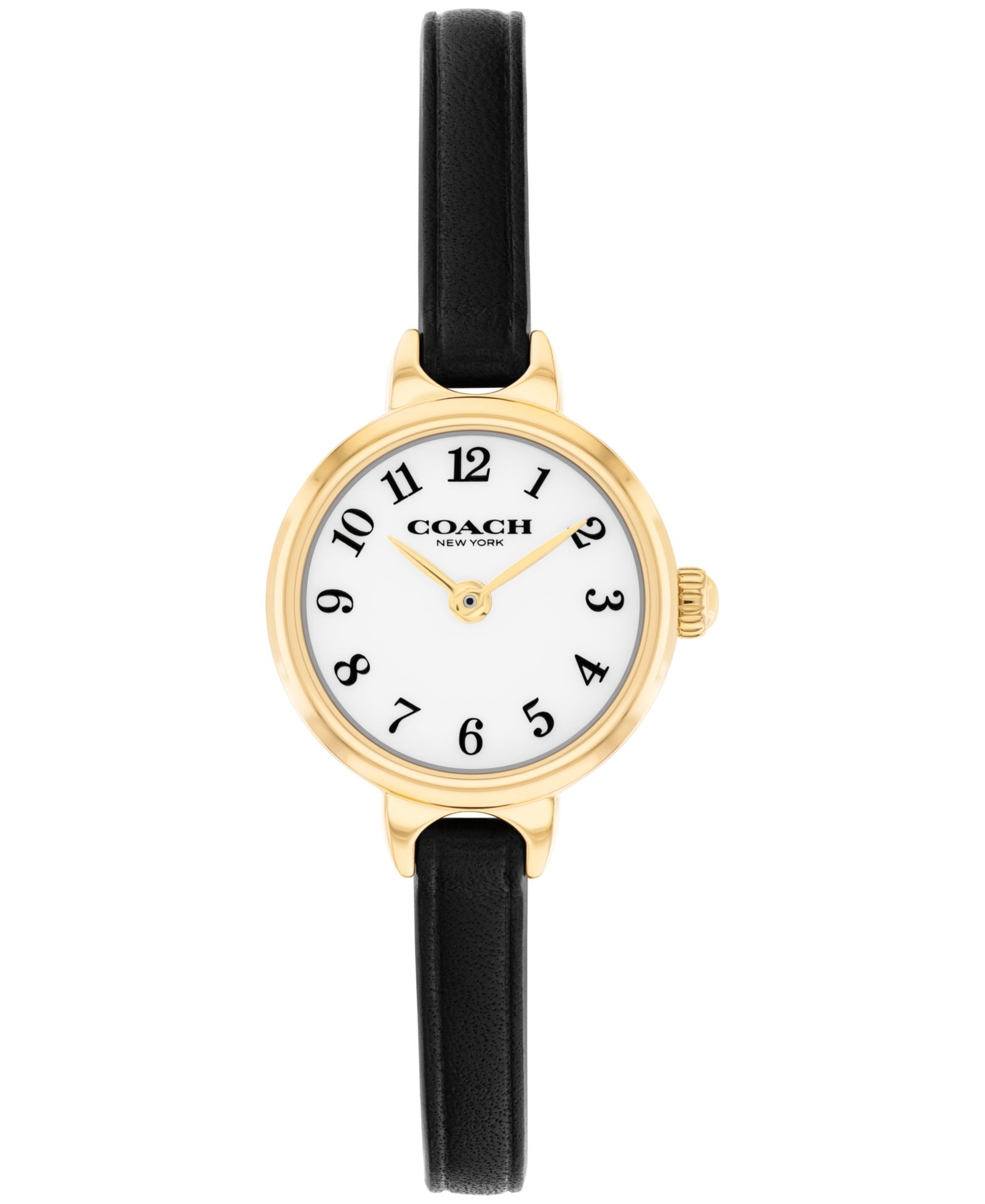 Женские часы Coach Iris, черная кожа, 22.5mm