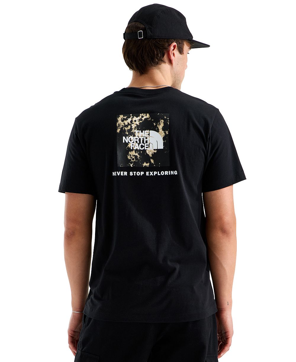 The North Face Мужская футболка The North Face Men's Evolution Light Print Box NSE Graphic