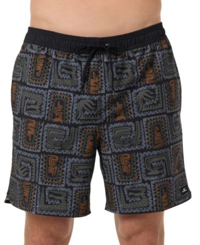 O'Neill Men's Hermosa Print Swim Trunks