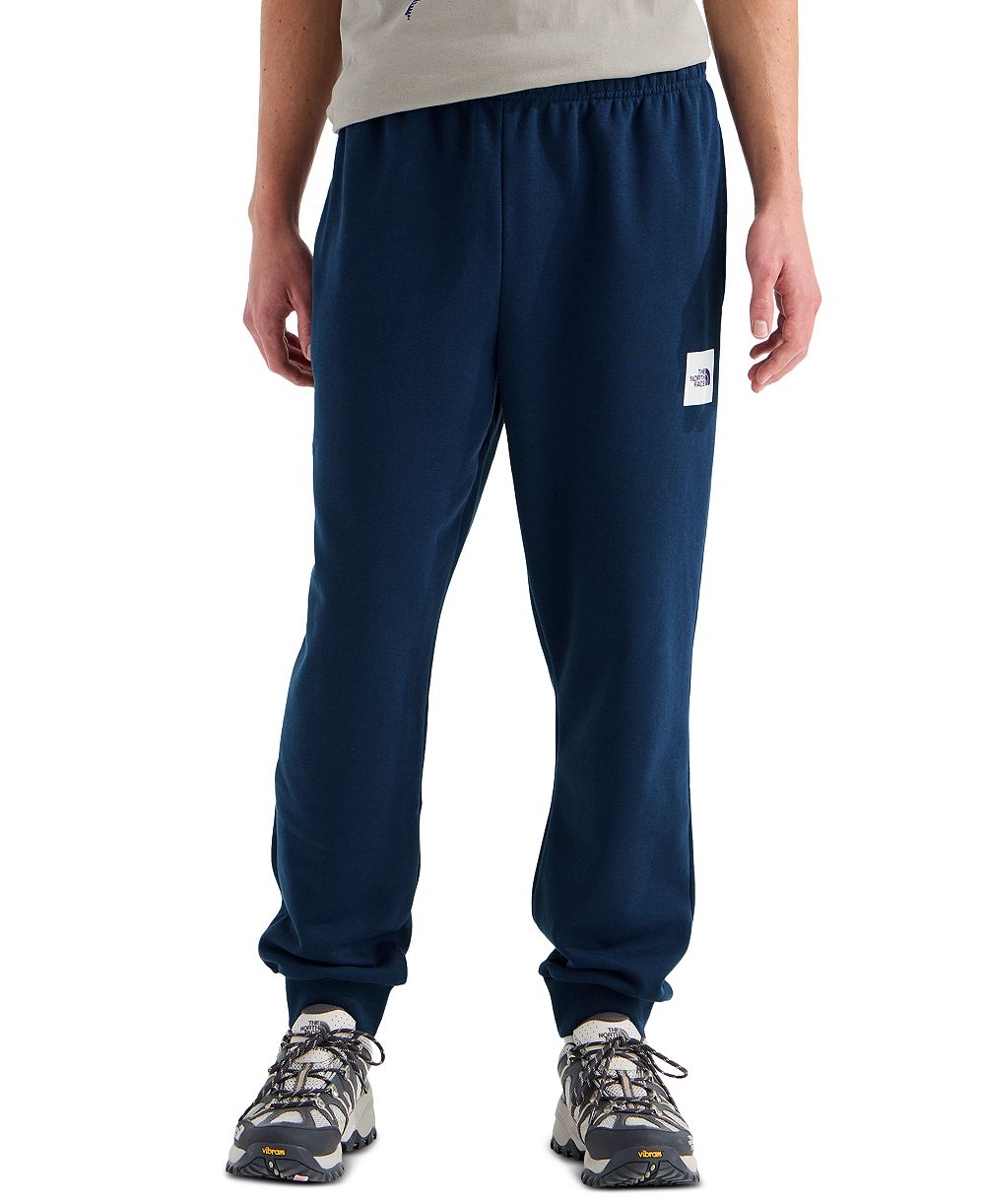 Мужские джоггеры The North Face Evolution Box Half Dome Tapered