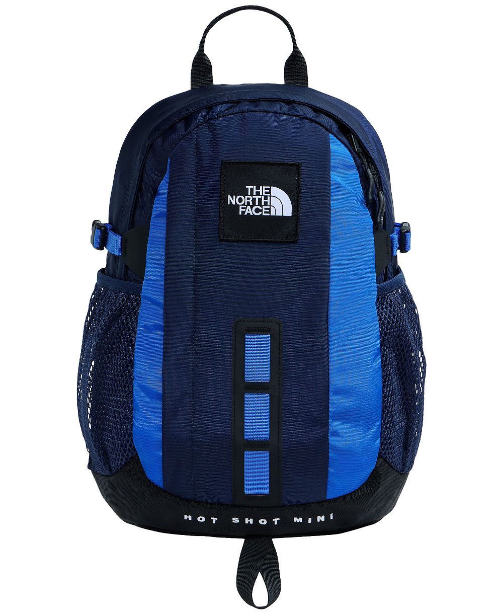 Мужской рюкзак The North Face Hot Shot Mini Laptop
