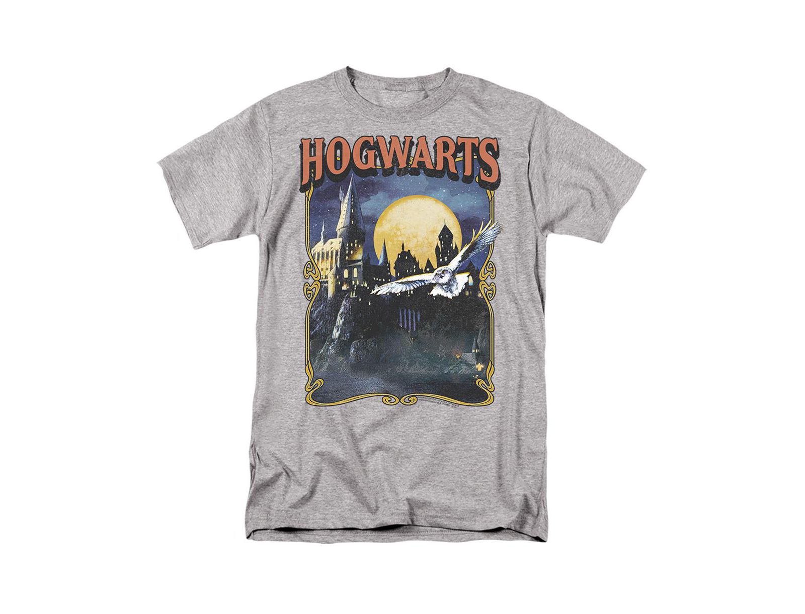 Harry Potter Men's Hogwarts Poster T Shirt