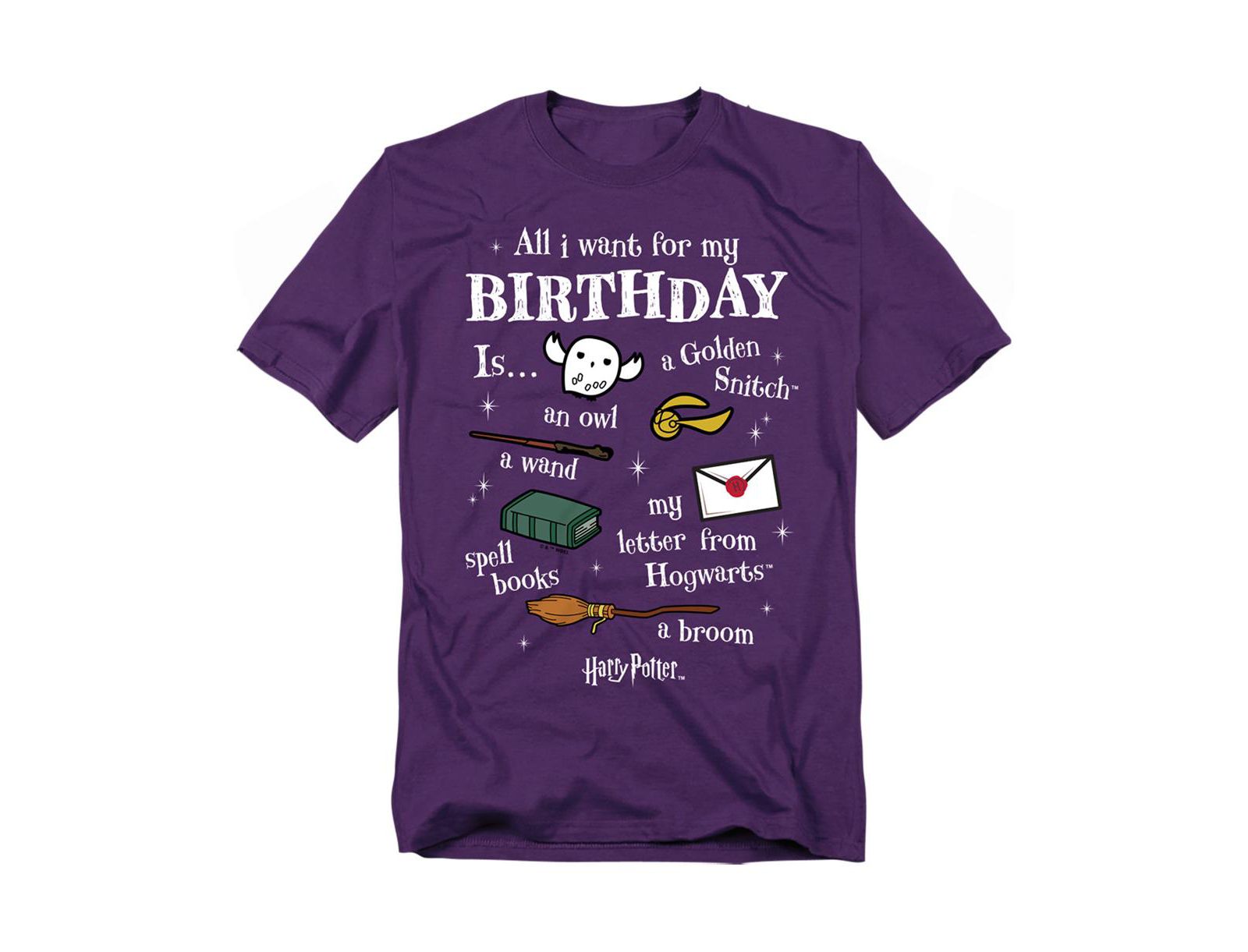 Harry Potter Men's Birthday Wishlist T Shirt
