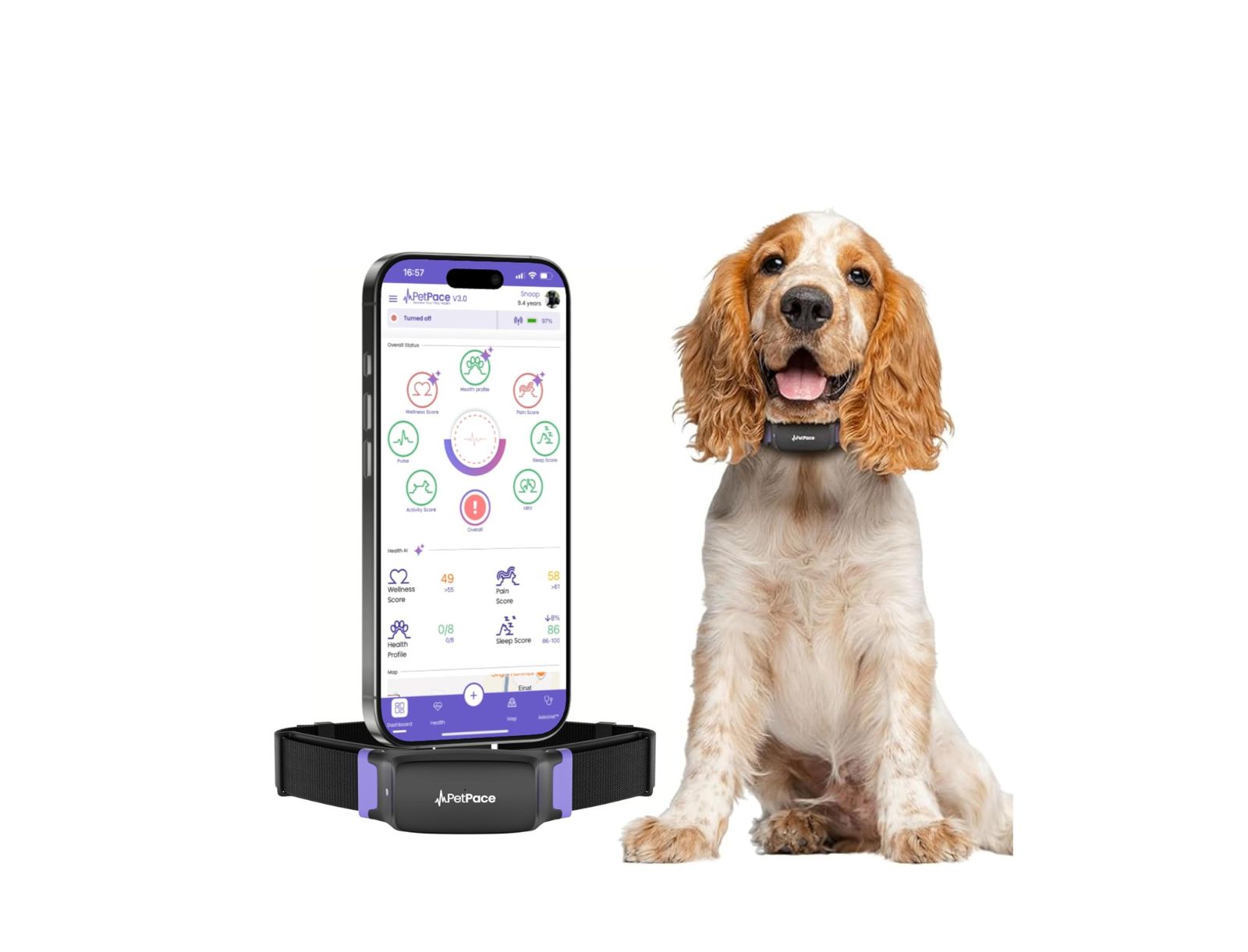 Petpace Dog Health Monitoring Collar